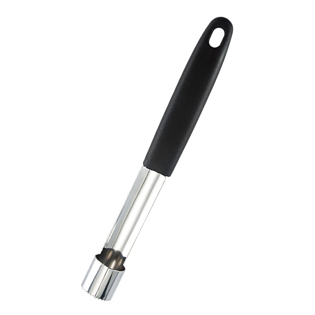 2-teiliges Edelstahl-Fruchtker – Cherry Pitter Tool Bewertung und Preis