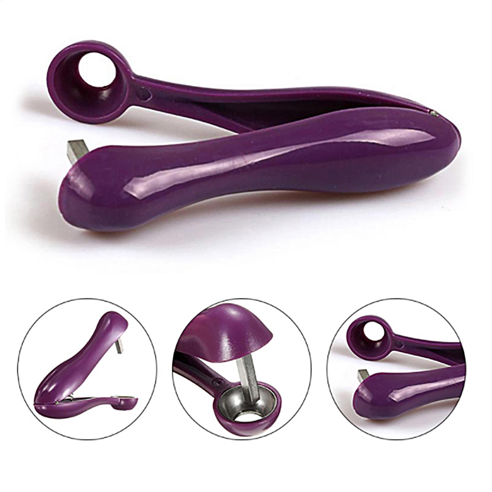 Tragbarer Kirsch- und Olivenen – Cherry Pitter Tool Bewertung und Preis