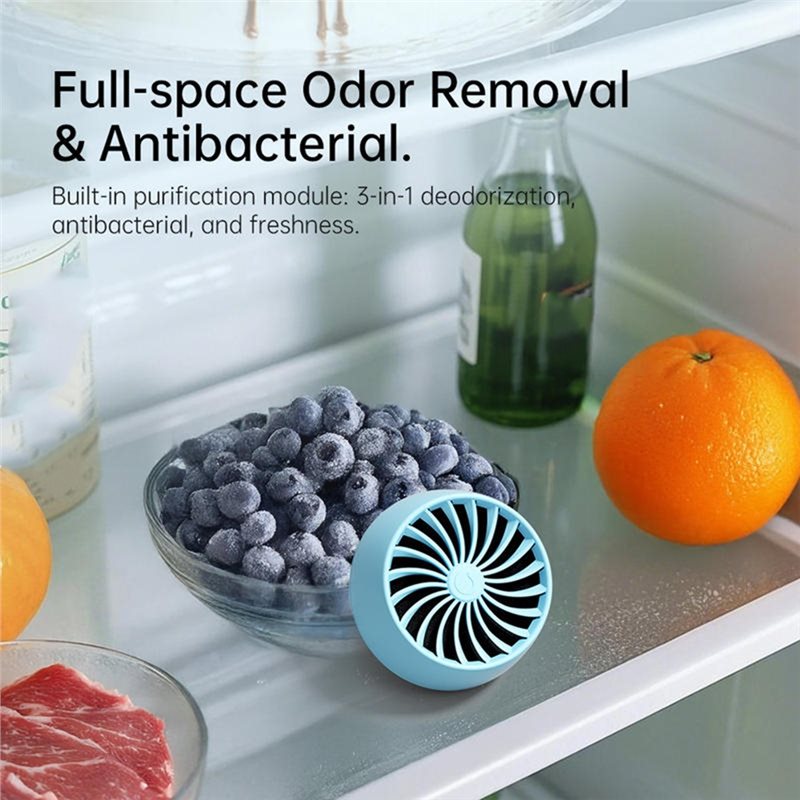 2025-Kühlschrank-Geruchsentfer – Kitchen Gadgets Of 2025 Bewertung und Preis